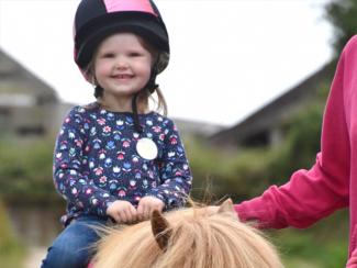 A young child enjoying a ride on a pony